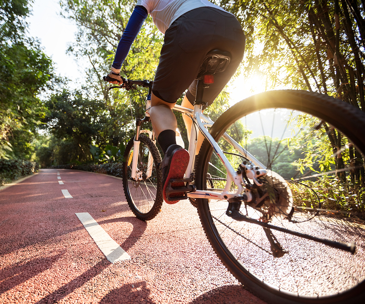 Explore the World by Bicycle! - E-park les saisies